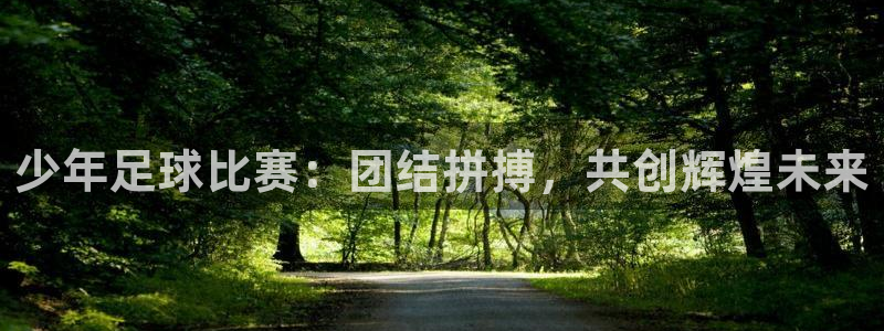 Vsport体育官网：少年足球比赛：