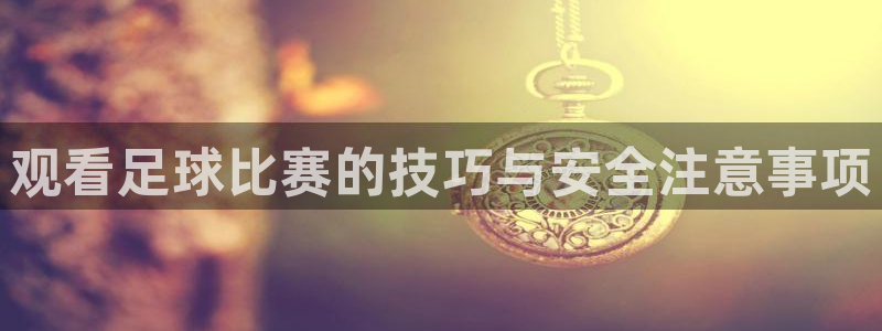 vsport体育官网：观看足球比赛的技巧与安全注意事项