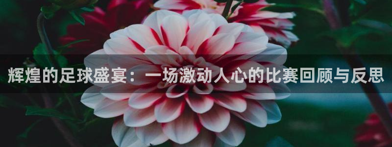 Vsport体育官方网站入口：辉煌的