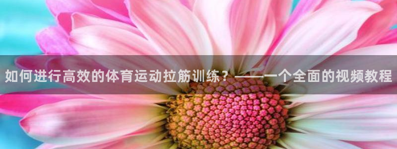 bbin视讯：如何进行高效的体育运动拉筋训练？——一个全面的视频教程