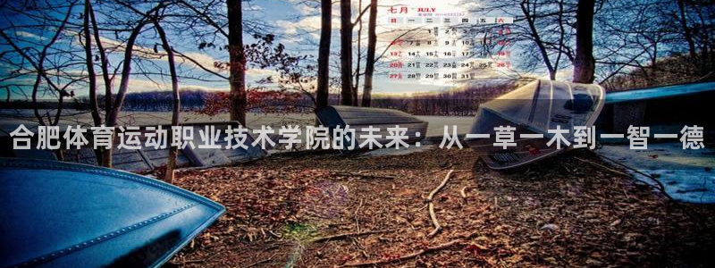 bbin视讯游戏平台：合肥体育运动职业技术学院的未来：从一草一木到一智一德