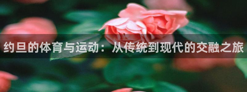 bbin视讯游戏官网：约旦的体育与运动：从传统到现代的交融之旅