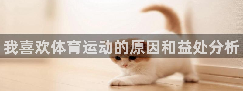 bbin视讯下：我喜欢体育运动的原因和益处分析