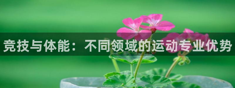 bbin视讯：竞技与体能：不同领域的运动专业优势