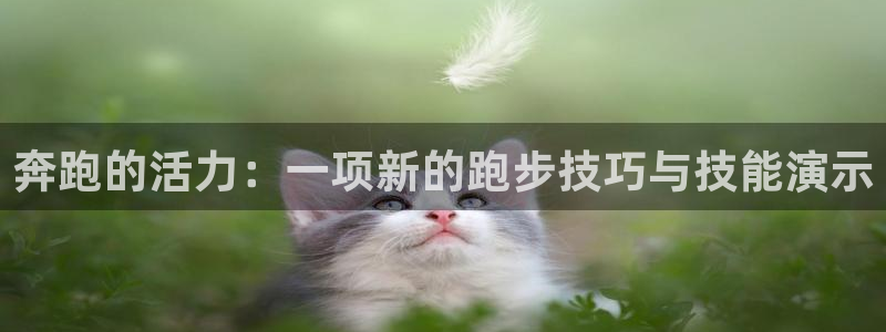 bbin视讯游戏官网：奔跑的活力：一项新的跑步技巧与技能演示