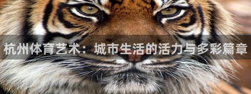 bbin视讯：杭州体育艺术：城市生活的活力与多彩篇章
