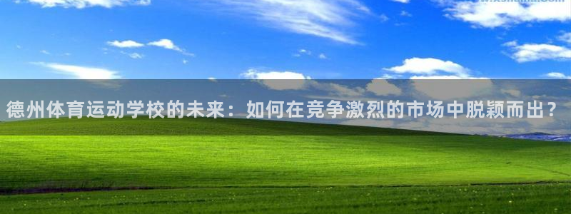 bbin视讯游戏官网：德州体育运动学校的未来：如何在竞争激烈的市场中脱颖而出？