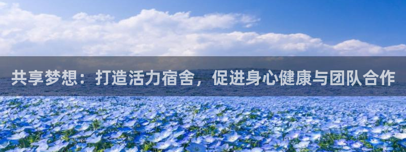 bbin视讯：共享梦想：打造活力宿舍，促进身心健康与团队合作